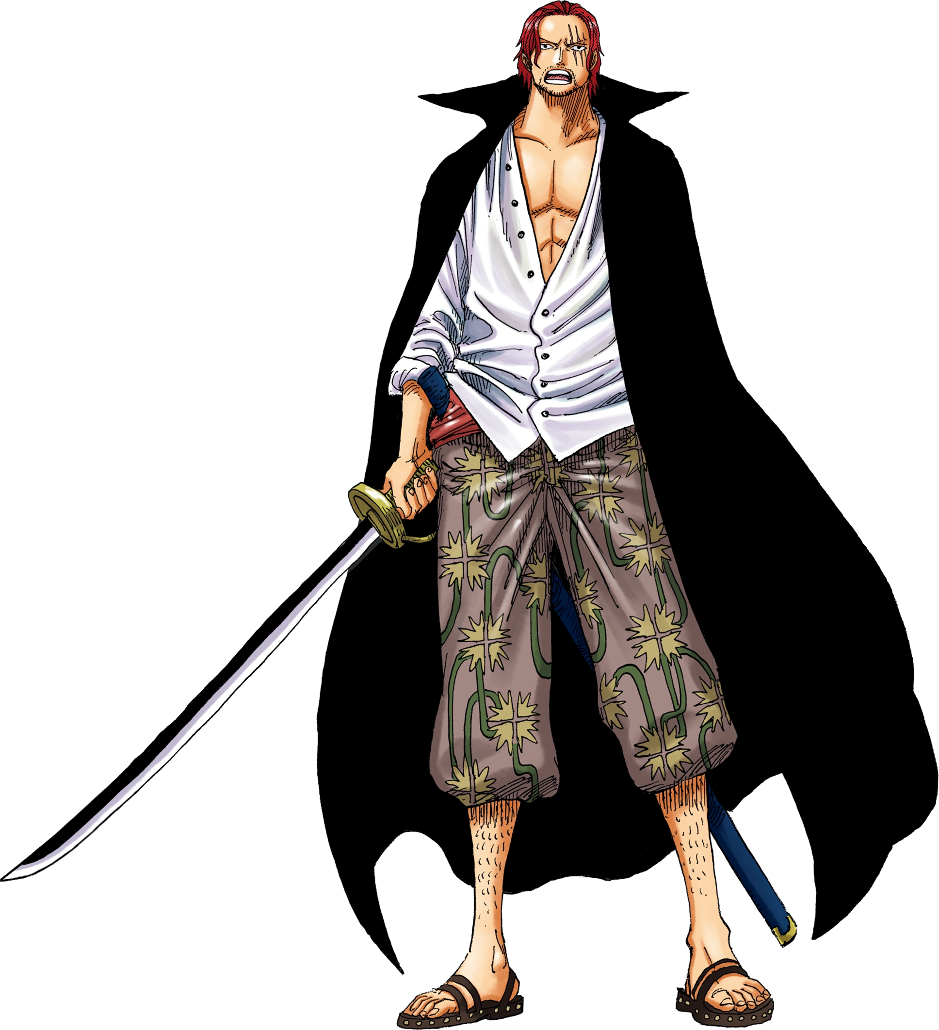 Logo de Shanks